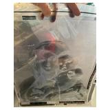 Large Photo Negative- Madonna of Goldfinch