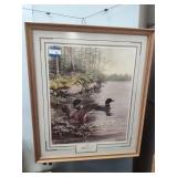 'Spring Return - Common Loon' Knaack print