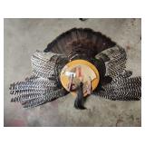 Turkey fan mount