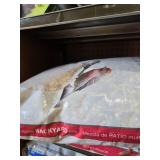 Bird food