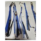 6 dog leashes