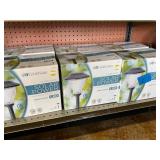 6 Solar Stake  Lights