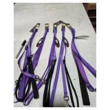 5 Dog leashes