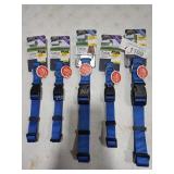 5 dog collars