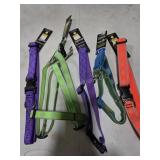 5 assorted leashes and collars