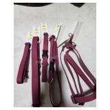 5 dog assorted harness and collars