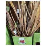 Box of red barn treats