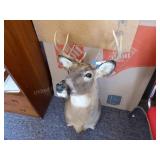 Deer mount