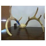 Antlers