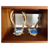 2 sets of antlers
