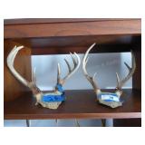 2 sets of antlers