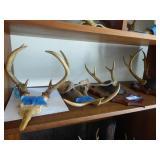 4 sets antlers