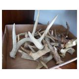 Box w/ antlers