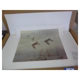 Gromme (Mallards 67) 79/500 - unframed