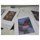 Bird pictures - unframed