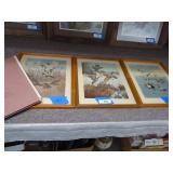 Vintage bird pics (framed & unframed)