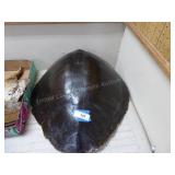 Turtle shell (large)