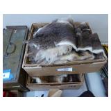 2 boxes tanned rabbit hides