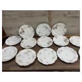 13 Various Haviland plates