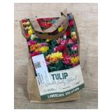 Double Early Blend Tulip Bulb Bag