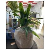 Faux 42" Dracaena in Handwoven Boho-Style Basket