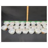 FIRE FING FRUITS / GAY FAD CUSTARDS 22 QTY