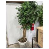 Artificial Ming Aralia tree in white pot  7.5