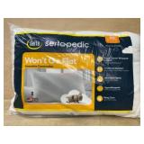 Sertapedic Wont Go Flat Pillow