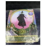 Ladies small 4/6 wicked costume