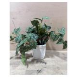 White pot with artificial pothos plant