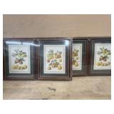 4- New Fruit prints in frames