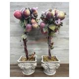 2- Decorator fruit plants (one pot damaged)