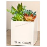 Tech2 Power Bloom Charging Decorative Plant