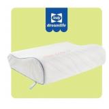 Sealy Dreamlife Contour Foam Pillow