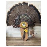 Turkey fan mount
