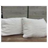 2 throw pillows