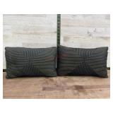 2-16x9 throw pillows
