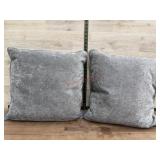 2-18x18 throw pillows