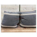 2-16x16 throw pillows