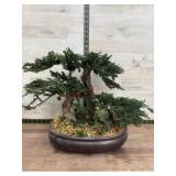 Faux bonsai tree