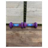 Fitness gear 2 lb neoprene weights