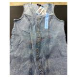 Frye Large Denim Button-Down Dress