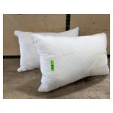 2 White throw pillows