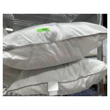 2- Target made by design standard pillows