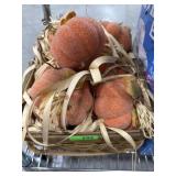 Basket of pumpkins