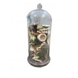 Glass Apothecary Jar With Potpourri