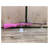 Crickett Model Unknown .22 LR Rifle Pink Stock