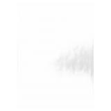 Insignia 2.7 Cu. Ft. White Mini Fridge with Door S