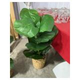 Artificial Fiddle Leaf Fig Tree in Woven Basket