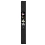 Tall Black Storage Cabinet with Shelves